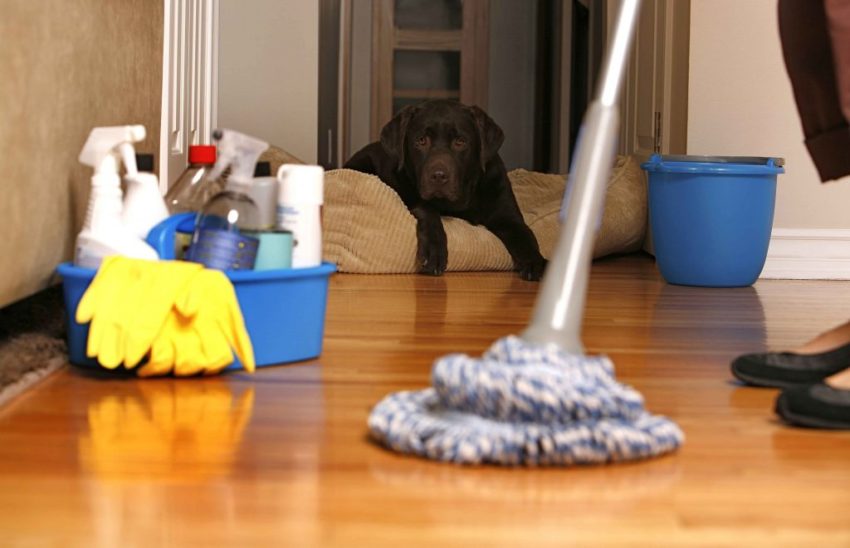 cleaning services in virginia