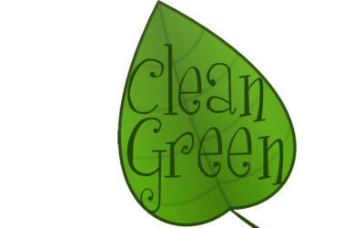 How Often Should You Use A Professional Green Cleaning Service?