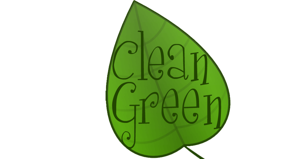 How Often Should You Use A Professional Green Cleaning Service?