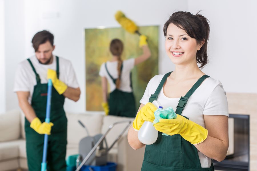 professional home cleaners