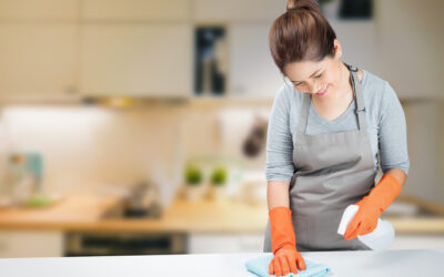 Can I Afford Apartment Cleaning Services In Maryland?