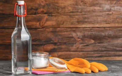 6 Things You Should Never Clean With Vinegar